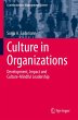 Culture in Organizations - Bild 1