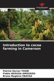 Introduction to cocoa farming in Cameroon