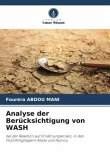 Analyse der Berücksichtigung von WASH