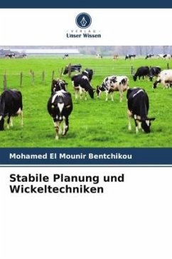 Stabile Planung und Wickeltechniken - Bentchikou, Mohamed El Mounir