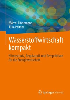 Wasserstoffwirtschaft kompakt (eBook, PDF) - Linnemann, Marcel; Peltzer, Julia
