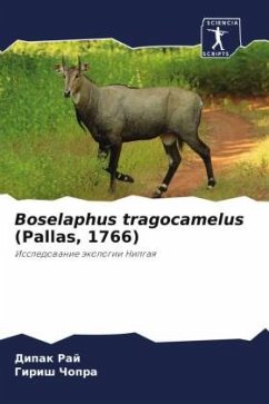 Boselaphus tragocamelus (Pallas, 1766) - Raj, Dipak;Chopra, Girish
