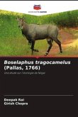 Boselaphus tragocamelus (Pallas, 1766)