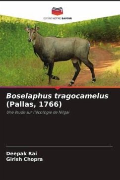 Boselaphus tragocamelus (Pallas, 1766) - Rai, Deepak;Chopra, Girish