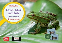 Frosch, Biber und Libelle. Tiere am Wasser. Kamishibai Bildkarten und Memo-Spiel - Lehner, Monika