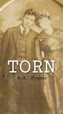 Torn (eBook, ePUB)