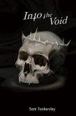 Into the Void (eBook, ePUB)