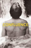 Confluence (eBook, ePUB)
