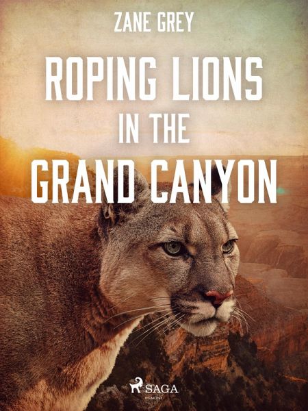Roping Lions in the Grand Canyon (eBook, ePUB)
