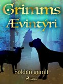 Sóldán gamli (eBook, ePUB)