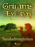 Smaladrengurinn (eBook, ePUB)