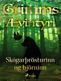 Skógarþrösturinn og björninn (eBook, ePUB)