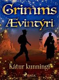 Kátur kunningi (eBook, ePUB)