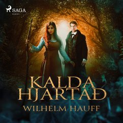 Cover Kalda hjartað: ævintýri (MP3-Download)
