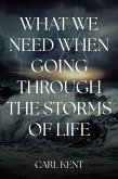 What We Need When Going Through the Storms of Life (eBook, ePUB)