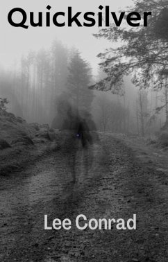 Cover Quicksilver (eBook, ePUB)