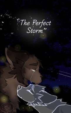 Cover The Perfect Storm (eBook, ePUB)