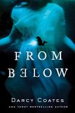 From Below (eBook, ePUB)