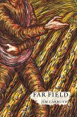 Far Field (eBook, ePUB)