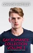 Gay Romance Collection Volume 3: 5 Gay... - Bild 1