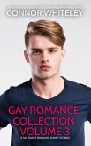 Gay Romance Collection Volume 3: 5 Gay Sweet Romance Short Stories (The English Gay Sweet Contemporary Romance Stories) (eBook, ePUB)