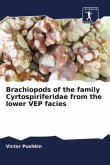Brachiopods of the family Cyrtospiriferidae from the lower VEP facies
