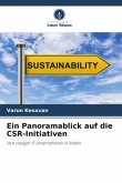 Ein Panoramablick auf die CSR-Initiativen