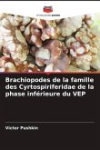 Brachiopodes de la famille des Cyrtospiriferidae de la phase inférieure du VEP