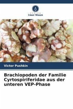 Brachiopoden der Familie Cyrtospiriferidae aus der unteren VEP-Phase - Pushkin, Victor