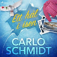 Cover Ett hål i isen (MP3-Download)