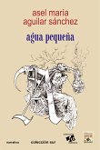 Agua pequeña (eBook, ePUB)