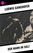 Der Mann im Salz (eBook, ePUB) - Bild 1