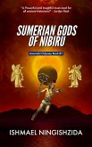 Sumerian Gods of Nibiru (Anunnaki Odyssey, #1) (eBook, ePUB)