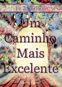 Um Caminho Mais Excelente (eBook, ePUB) - Daniel G. Caram, Rev.