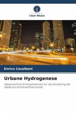 Urbane Hydrogenese - Casalboni, Enrico