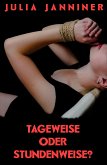 Tageweise oder stundenweise? (eBook, ePUB)