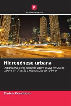 Cover Hidrogénese urbana