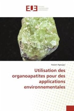 Utilisation des organoapatites pour des applications environnementales - Agougui, Hassen