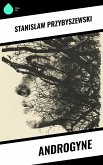 Androgyne (eBook, ePUB)