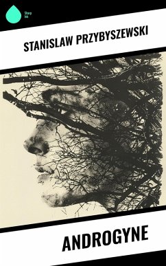 Androgyne (eBook, ePUB) - Przybyszewski, Stanislaw