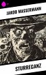 Sturreganz (eBook, ePUB) - Bild 1