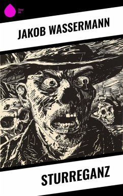 Cover Sturreganz (eBook, ePUB)