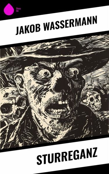 Sturreganz (eBook, ePUB)