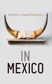 In Mexico (eBook, ePUB)