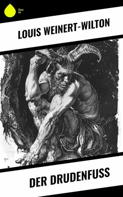 Cover Der Drudenfuß (eBook, ePUB)