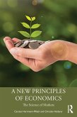 A New Principles of Economics (eBook, ePUB)