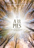 A 33 pies (eBook, ePUB)