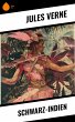 Schwarz-Indien (eBook, ePUB) - Bild 1