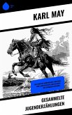 Gesammelte Jugenderzählungen (eBook, ePUB)