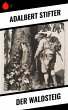 Der Waldsteig (eBook, ePUB) - Bild 1